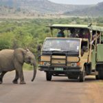 How to Choose a Safari Travel Destination in Africa