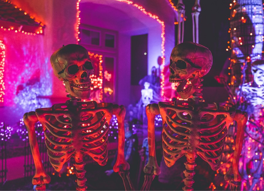 Skeletons For Halloween