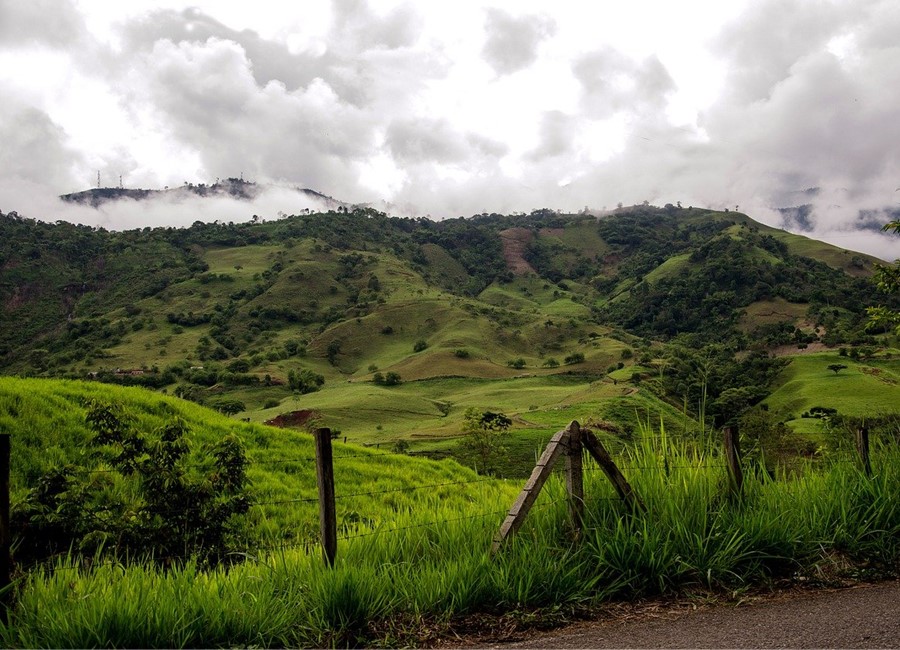 Green Hills in the Colombia Coffee Triangle