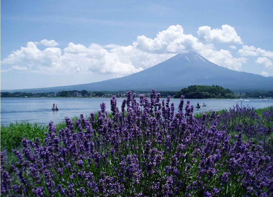 Kawaguchiko, Japan, The Most Beautiful Lakes in the World